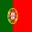 Portuguese Flag